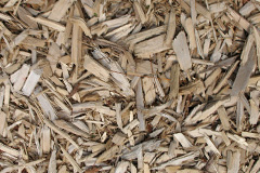 biomass boilers Medstead